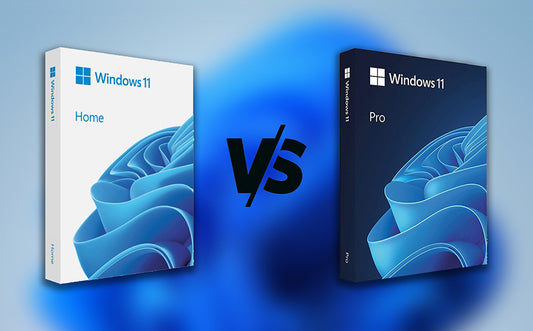 Diferentele Windows 11 Home si Windows 11 Pro