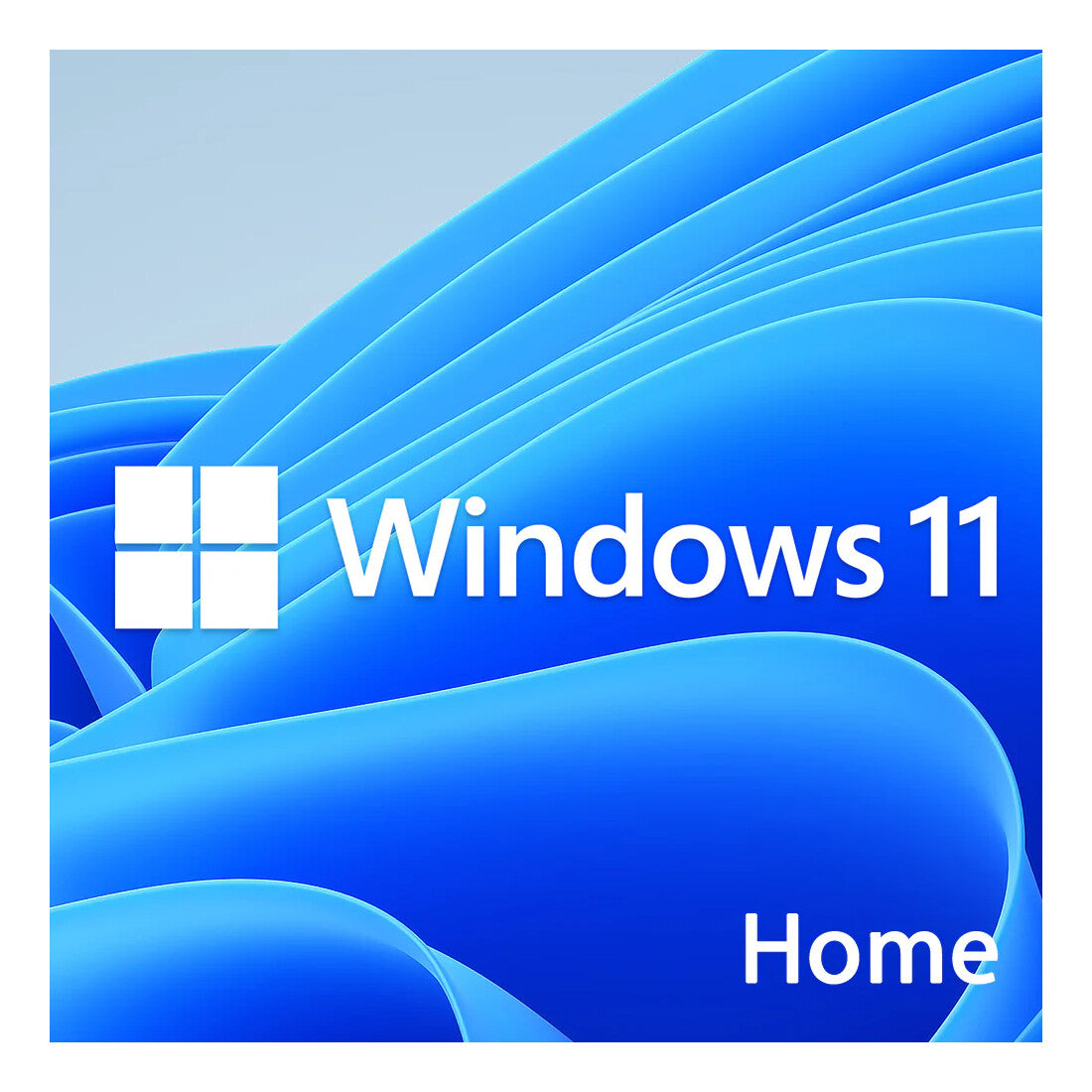 licenta windows 11 home